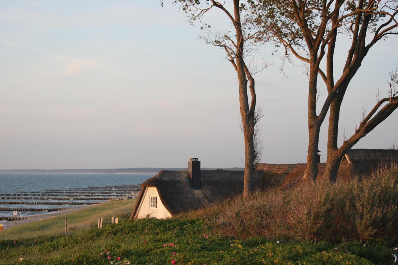 Dat Dardel Hus Борн Экстерьер фото